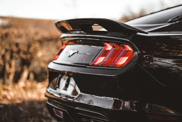 Mr Slot Casino Android/iOS App